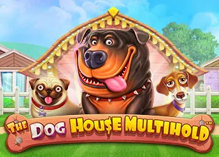 superwin356 ล่าสุด The Dog House Multihold ทดลองเล่นฟรี